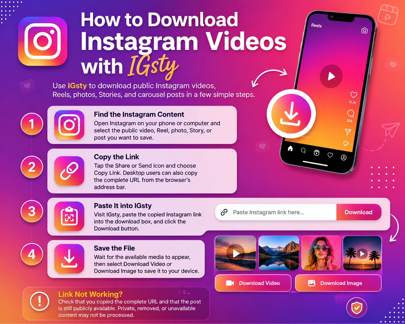 How to Download Instagram Videos with IGsty